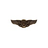 SKA pin "Shield with wings"